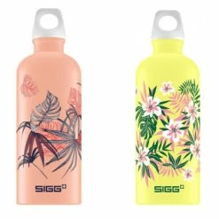 Bidon Vélo SIGG Florid 600 Ml
