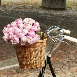 Grand Panier Sur Guidon De Vélo En Rotin Darcy L Basil 12 Grand Panier Sur Guidon De Vélo En Rotin Darcy L Basil -VTC électriques Soldes grand panier sur guidon de velo en rotin darcy l basil full 5