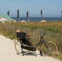 Panier Arrière Tressé Pour Vélo Weave WP Basil -VTC électriques Soldes panier arriere tresse pour velo weave wp basil full 6