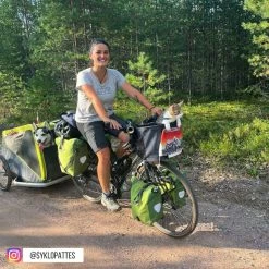 Sac De Vélo Pour Chien Doggy - KLICKfix -VTC électriques Soldes sac transport chat velo